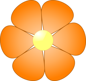 orange-flower-md.png